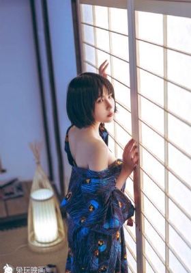国产幼猫猫粮推荐_高清完整版免费在线观看